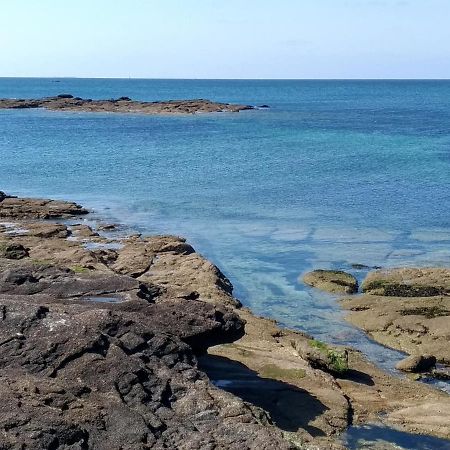 L'Ocean A 100M Via Une Venelle Privee, La Ville Close A 500M, L'Archipel Des Glenan A L'Horizon コンカルノー エクステリア 写真