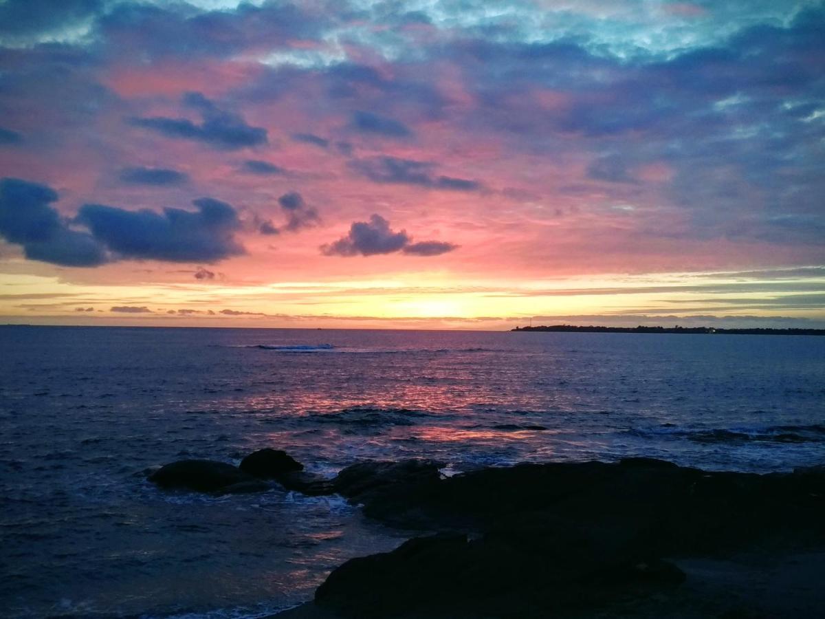 L'Ocean A 100M Via Une Venelle Privee, La Ville Close A 500M, L'Archipel Des Glenan A L'Horizon コンカルノー エクステリア 写真